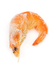 Image showing Frozen Shrimp