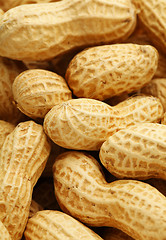 Image showing Dried peanut