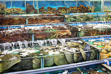 Image showing Seafood market in Hong Kong