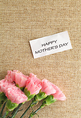 Image showing Pink carnations flower for Mother's day