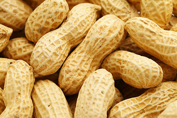 Image showing Dried peanut