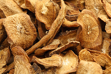 Image showing Herbal , dry burdock root