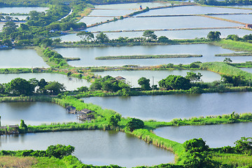 Image showing Fish hatchery pond