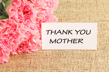 Image showing Pink carnations flower for Mother's day