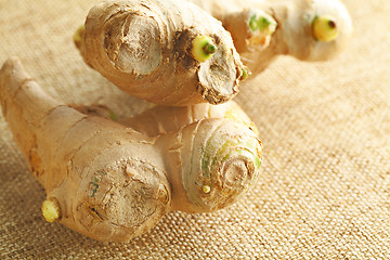 Image showing ginger close up