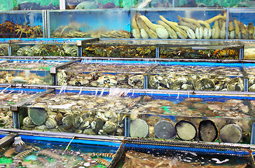 Image showing Seafood market in Hong Kong