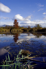 Image showing boat fall down autumn 