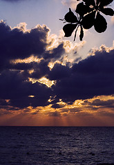 Image showing relax near the jamaica caribbean