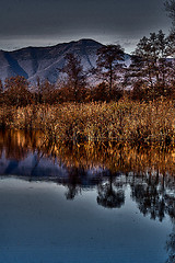 Image showing abstract  autumn lake and marsh