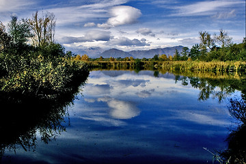 Image showing marsh moor marshy 