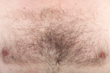 Image showing Mans hairy chest with nipples