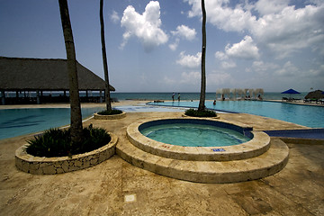 Image showing   dominicana pool tree palm  peace 