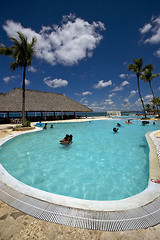 Image showing pool tree palm    marble