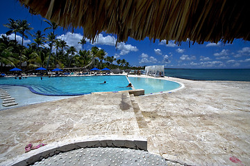 Image showing republica dominicana pool tree palm  peace marble