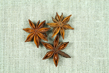 Image showing Aniseed on flax