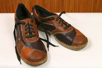 Image showing Brown female shoes