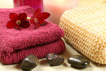 Image showing Relaxing spa therapy