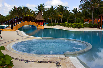 Image showing mexico pool tree palm  