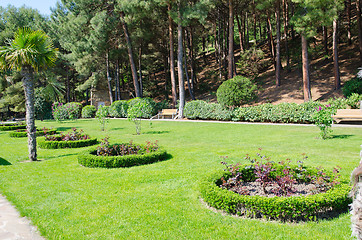Image showing green park design