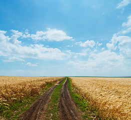 Image showing rural road in golden agricultural field under cloudy sky