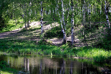 Image showing On the shore of the pond.