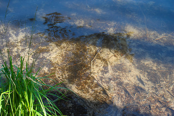 Image showing Bottom of the lake.