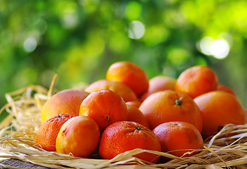 Image showing Citrus fruits on table