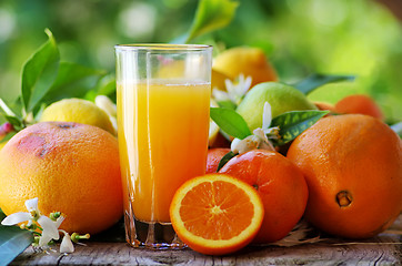 Image showing Glass of natural orange juice