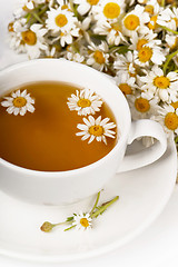 Image showing Chamomile tea