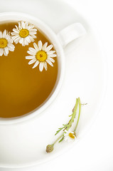 Image showing Chamomile tea