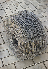 Image showing One bay of barbed wire