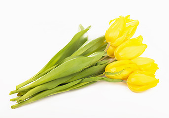 Image showing Yellow tulips isolated