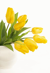 Image showing Yellow tulips in a jug