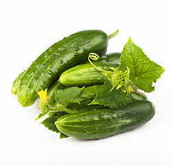 Image showing Fresh cucumbers