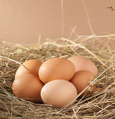 Image showing brown eggs in a nest