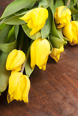 Image showing yellow tulips