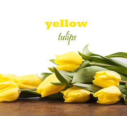 Image showing Yellow tulips