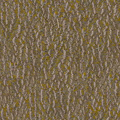 Image showing Elm Bark. Seamless Texture.