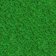 Image showing Seamless Texture. Green Meadow Grass.