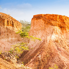 Image showing Marafa Canyon - Kenya