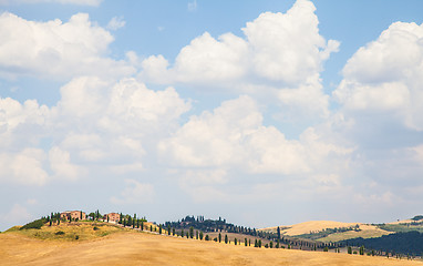 Image showing Country in Tuscany