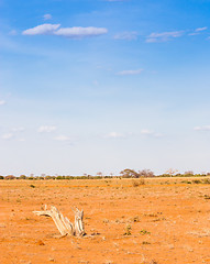 Image showing Adventure in Kenya