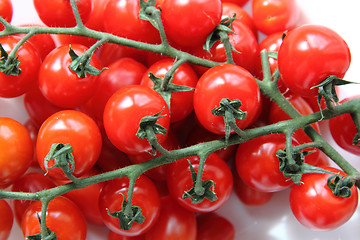 Image showing tomatoes background