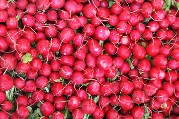 Image showing fresh radish (radishes) background