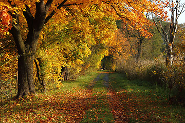 Image showing czech color autumn country 