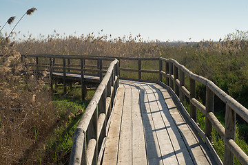 Image showing Wetlands