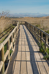 Image showing Natural park footbridge