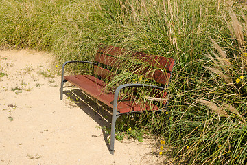 Image showing Overgrown park bench