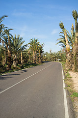 Image showing Tropical road