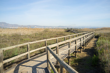 Image showing Natural park